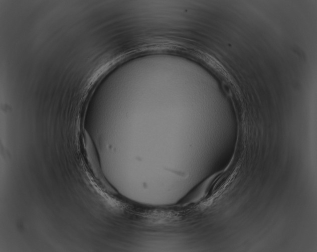 X0000090490842200708031145