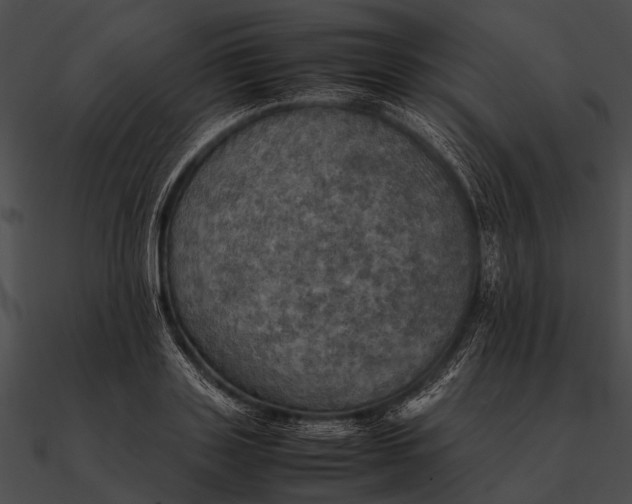 X0000090490843200708031145