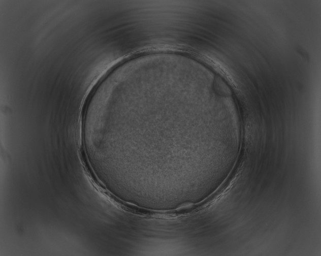 X0000090490844200708031145