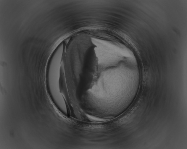 X0000090490845200708031145