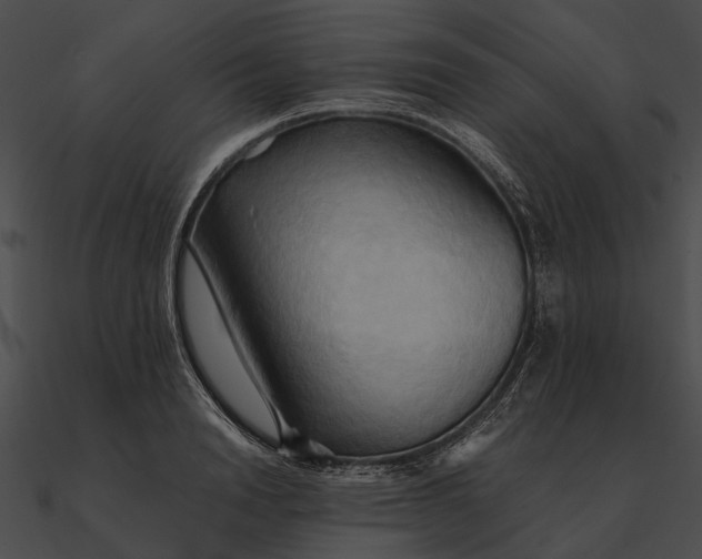 X0000090490846200708031145