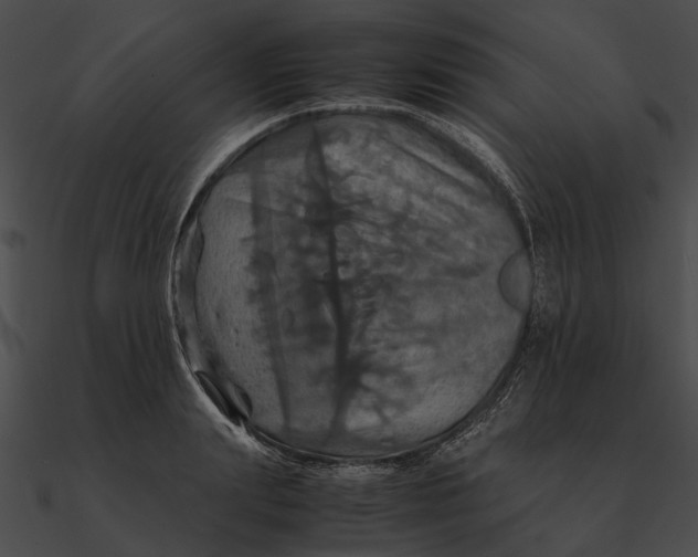 X0000090490847200708031145