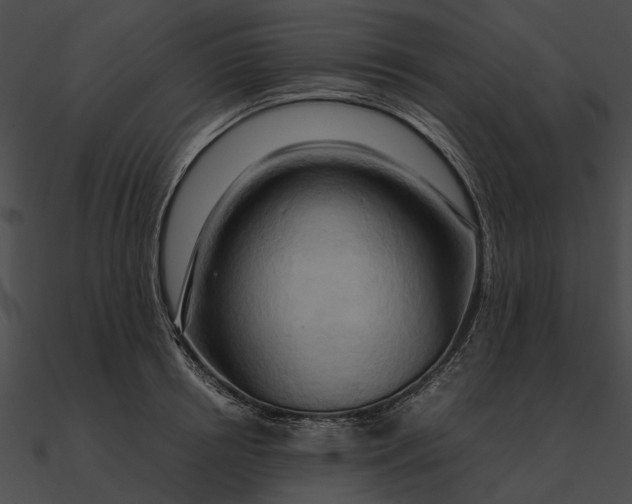 X0000090490850200708031145