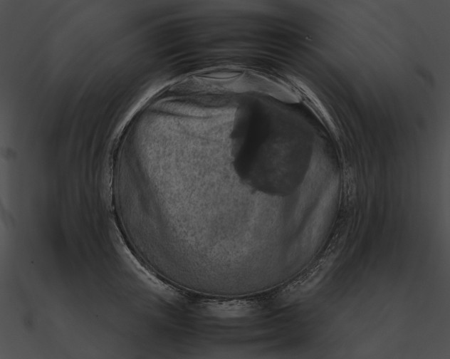 X0000090490851200708031145