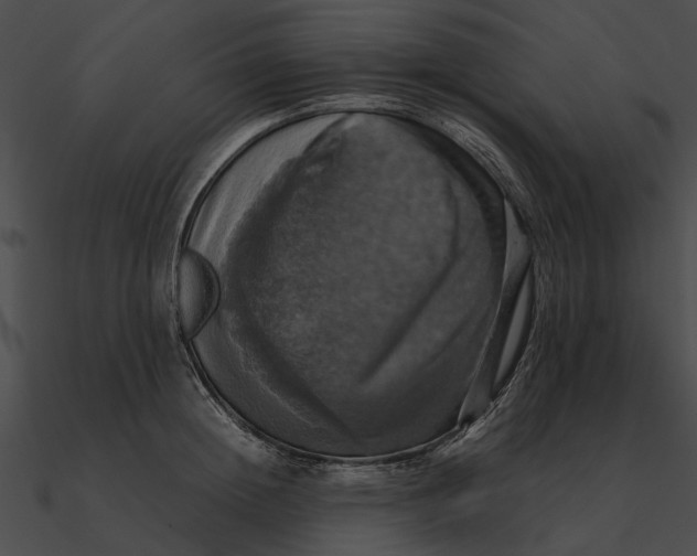 X0000090490852200708031145