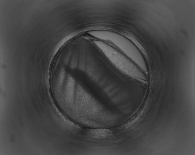 X0000090490853200708031145