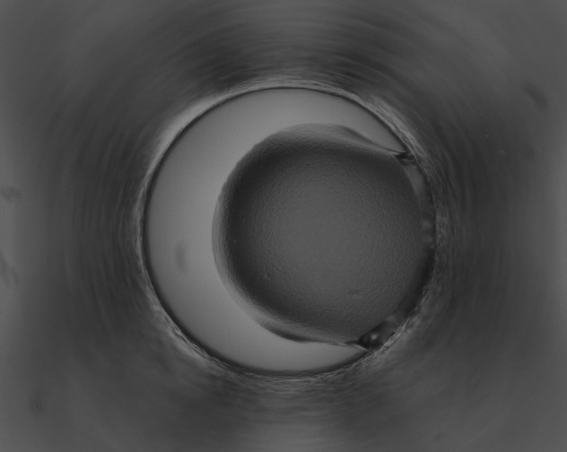 X0000090490854200708031145