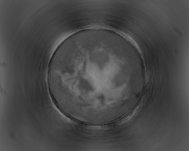 X0000090490855200708031145