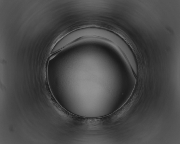 X0000090490858200708031145