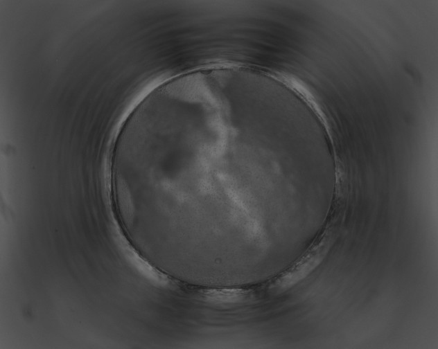 X0000090490859200708031145