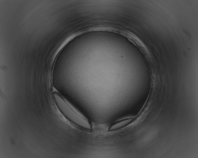 X0000090490860200708031145