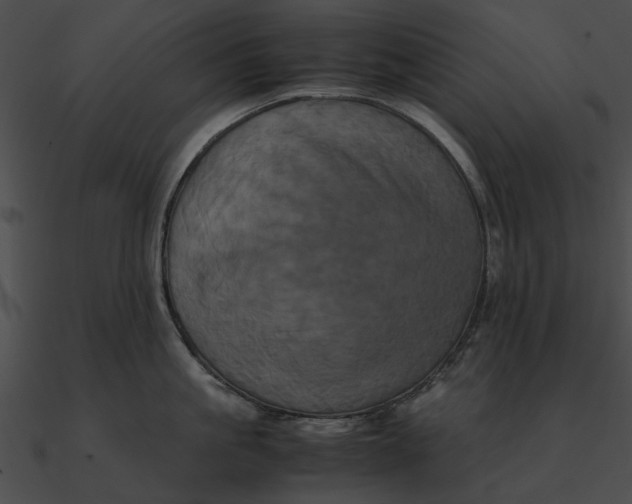 X0000090490861200708031145