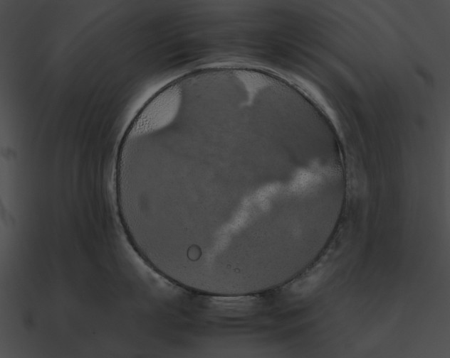 X0000090490863200708031145