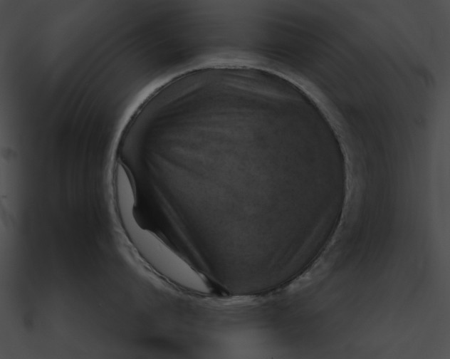 X0000090490864200708031145