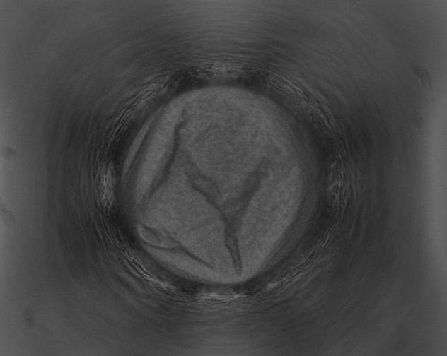 X0000090490866200708031144