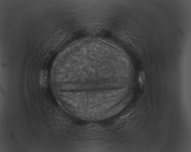 X0000090490867200708031144