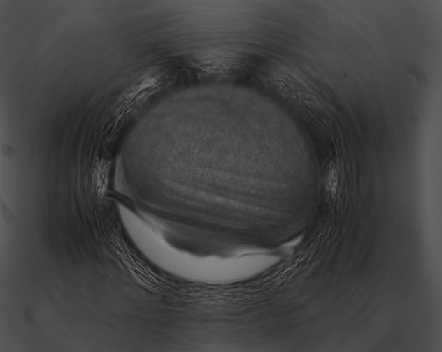 X0000090490868200708031144