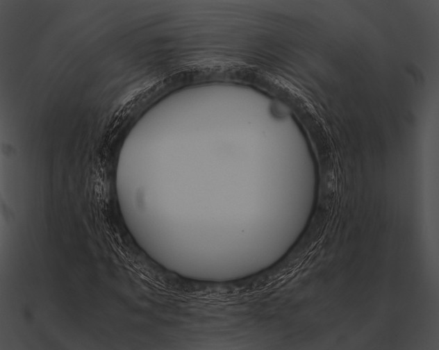 X0000090490869200708031144