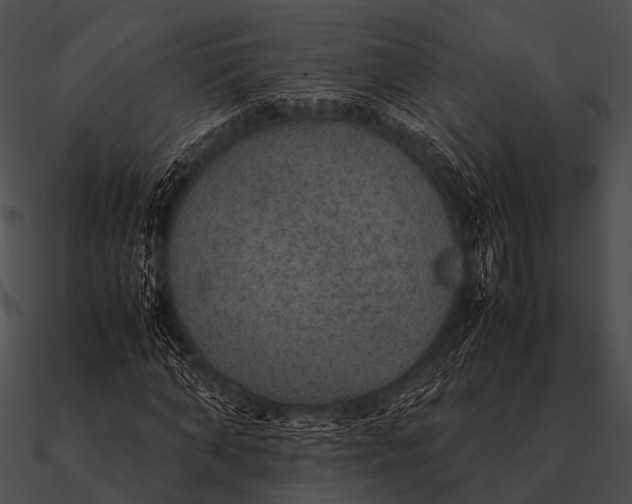 X0000090490870200708031144