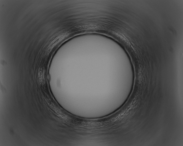 X0000090490873200708031144