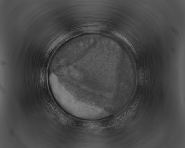 X0000090490874200708031144