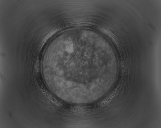 X0000090490875200708031144