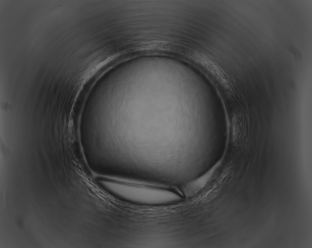 X0000090490876200708031144