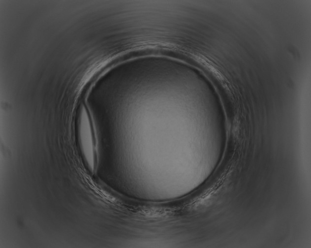 X0000090490877200708031144