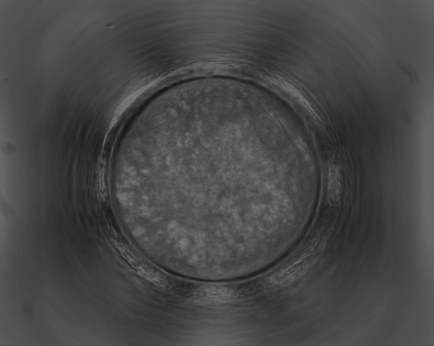 X0000090490878200708031144