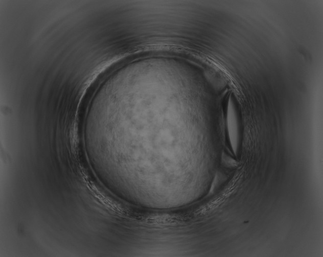 X0000090490880200708031144