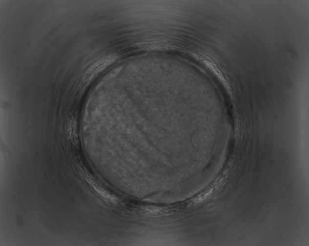 X0000090490881200708031144