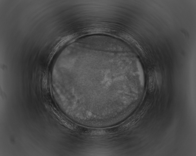 X0000090490882200708031144