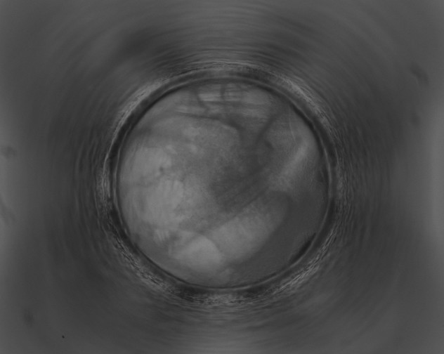 X0000090490883200708031144