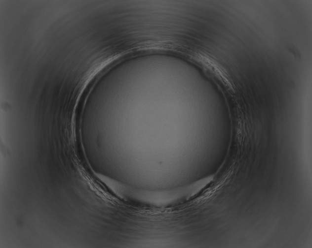 X0000090490884200708031144