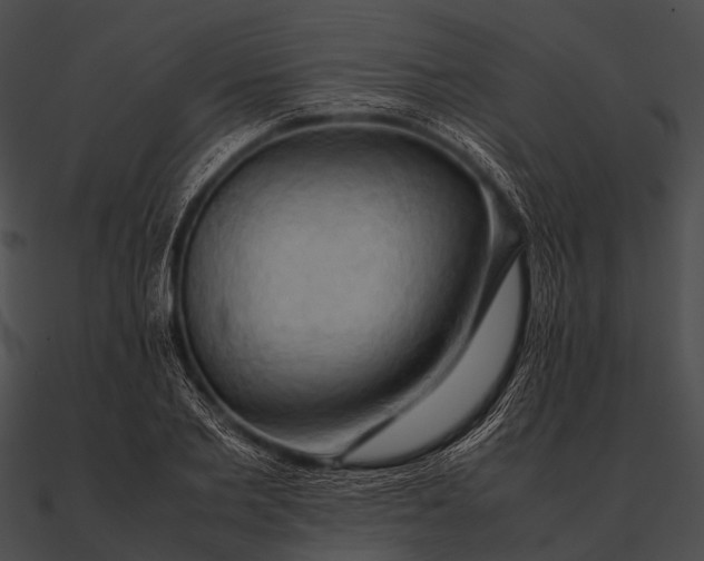 X0000090490885200708031144