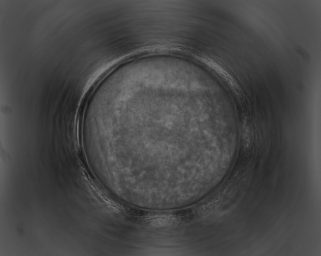 X0000090490886200708031144