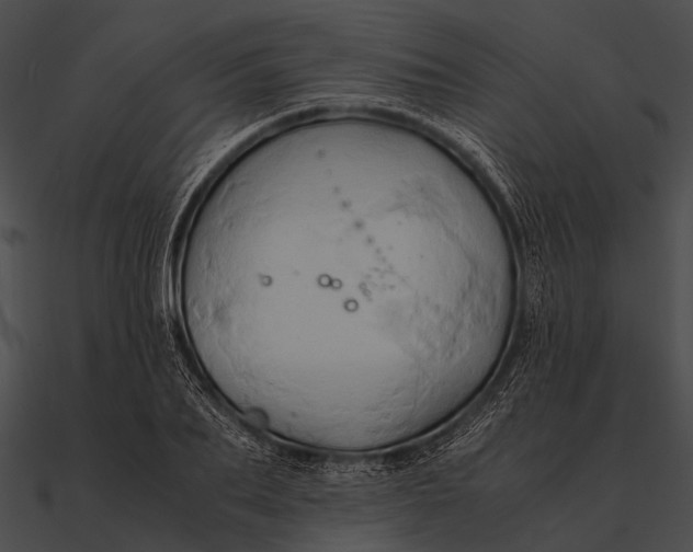 X0000090490887200708031144