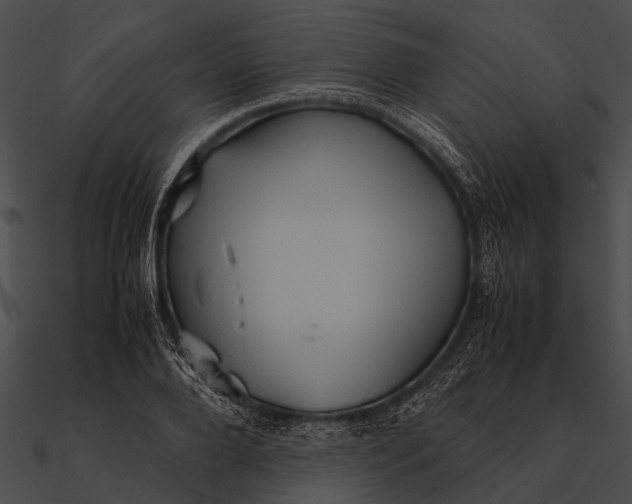 X0000090490888200708031144