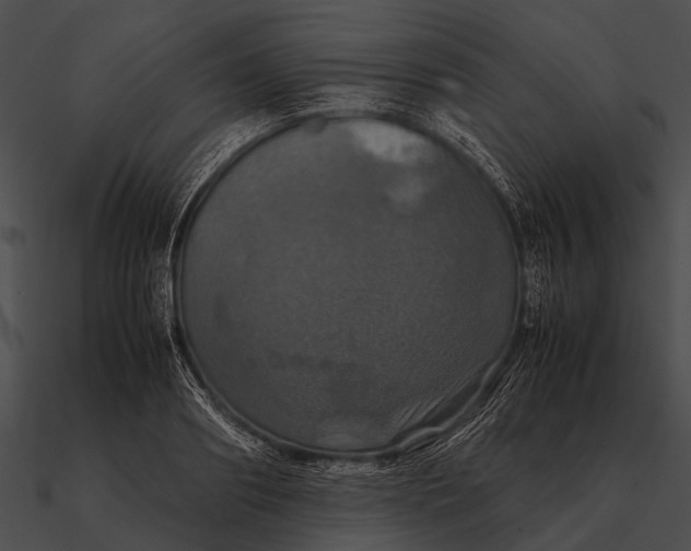 X0000090490890200708031144