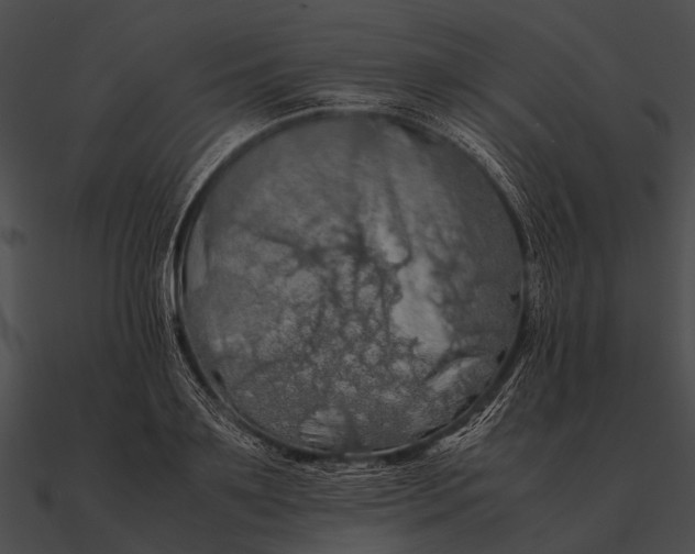 X0000090490891200708031144