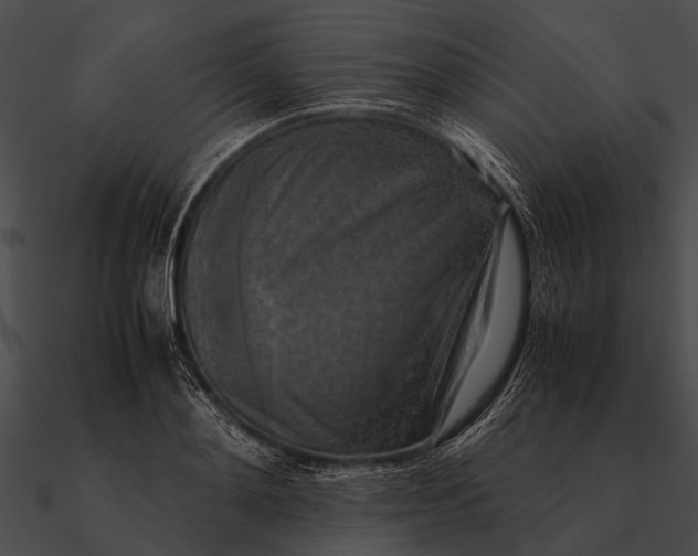 X0000090490892200708031144