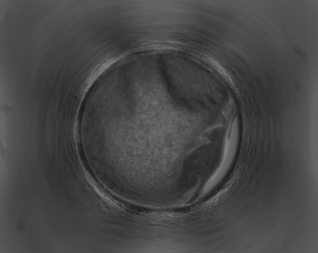 X0000090490893200708031144