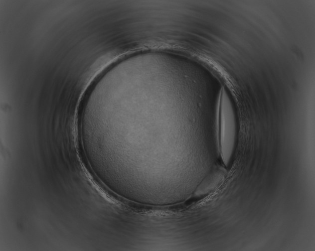 X0000090490894200708031144