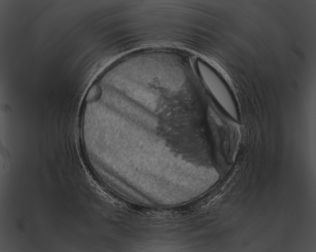 X0000090490895200708031144