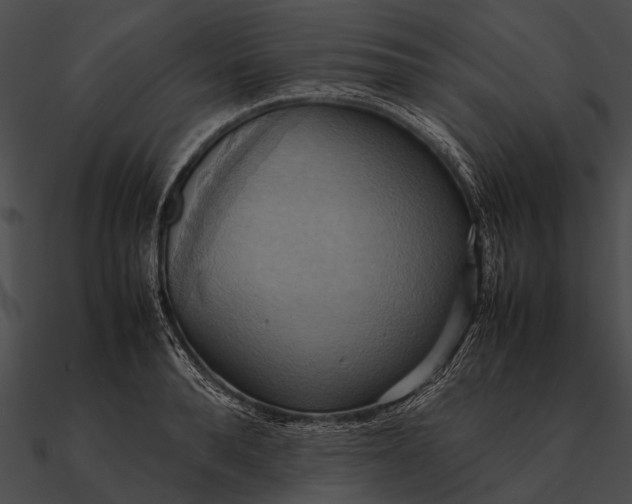 X0000090490896200708031144