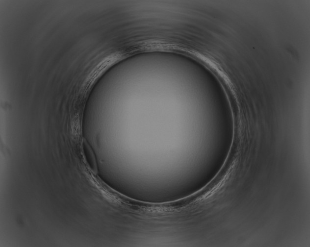 X0000090490897200708031144