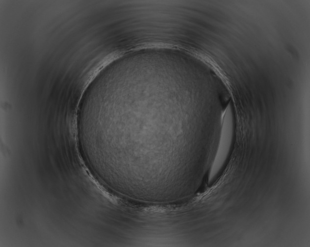 X0000090490898200708031144