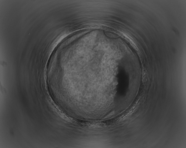 X0000090490899200708031144