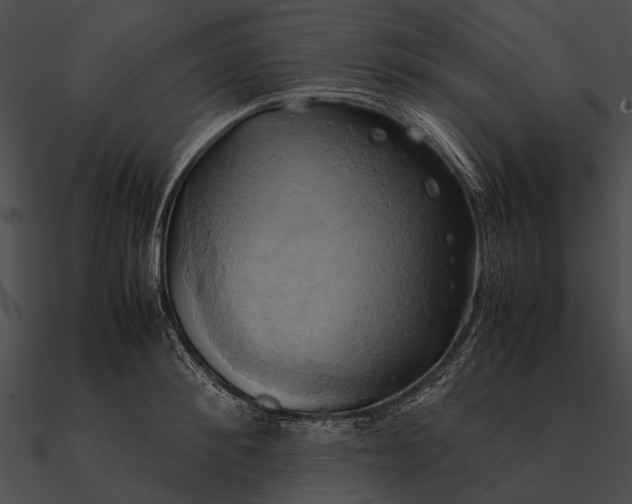 X0000090490900200708031144