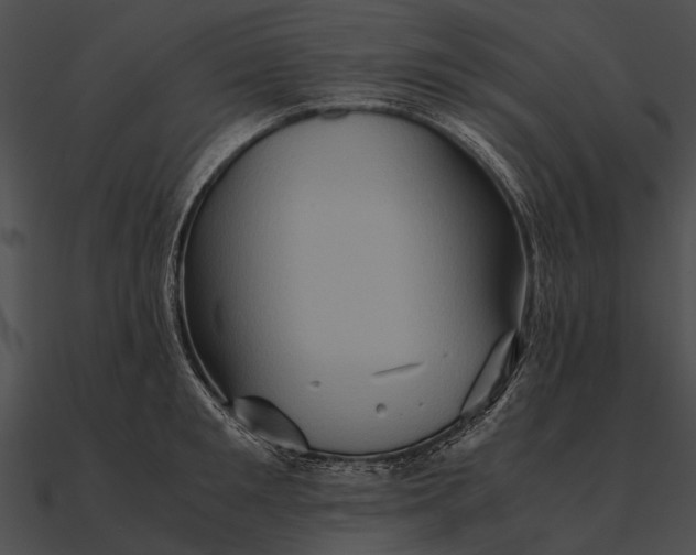 X0000090490901200708031144